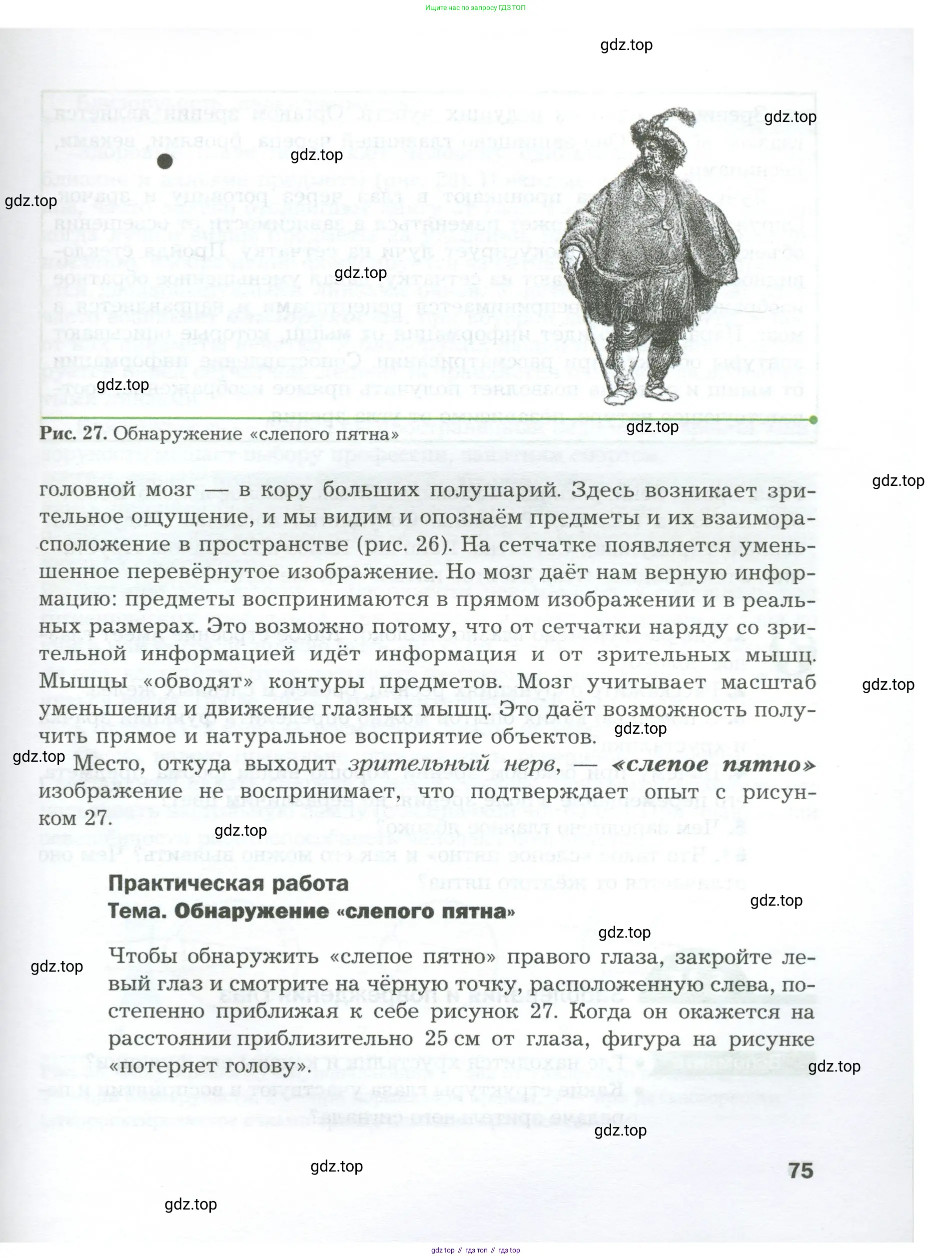 Биология, 9 класс Учебник, авторы: Драгомилов Александр Григорьевич, Маш Реми Давидович, издательство Просвещение, Москва, 2021, коричневого цвета, страница 75