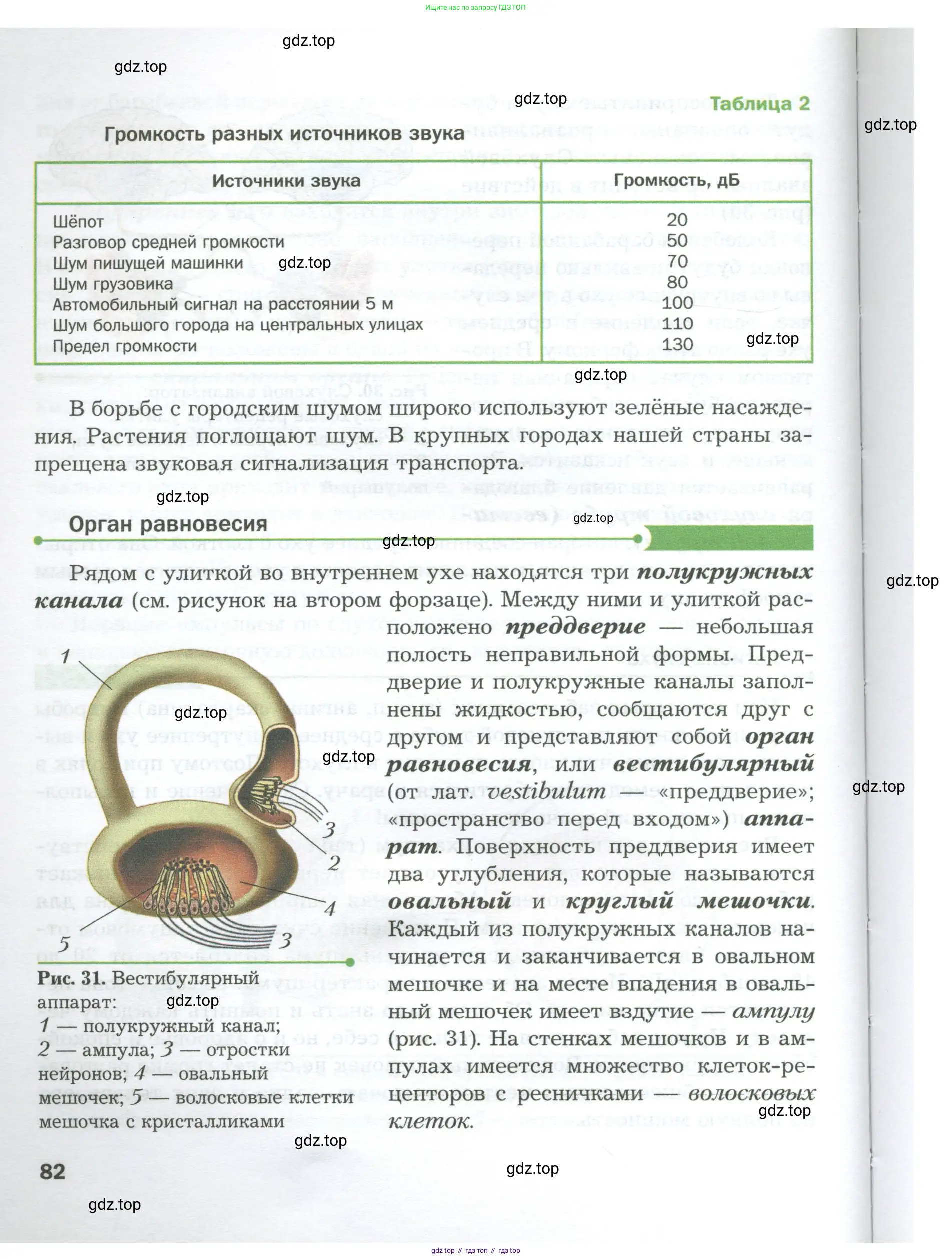 Биология, 9 класс Учебник, авторы: Драгомилов Александр Григорьевич, Маш Реми Давидович, издательство Просвещение, Москва, 2021, коричневого цвета, страница 82