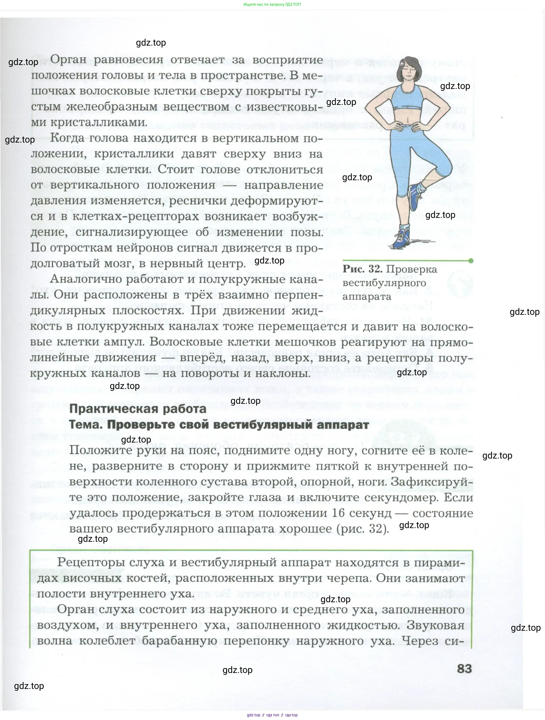 Биология, 9 класс Учебник, авторы: Драгомилов Александр Григорьевич, Маш Реми Давидович, издательство Просвещение, Москва, 2021, коричневого цвета, страница 83