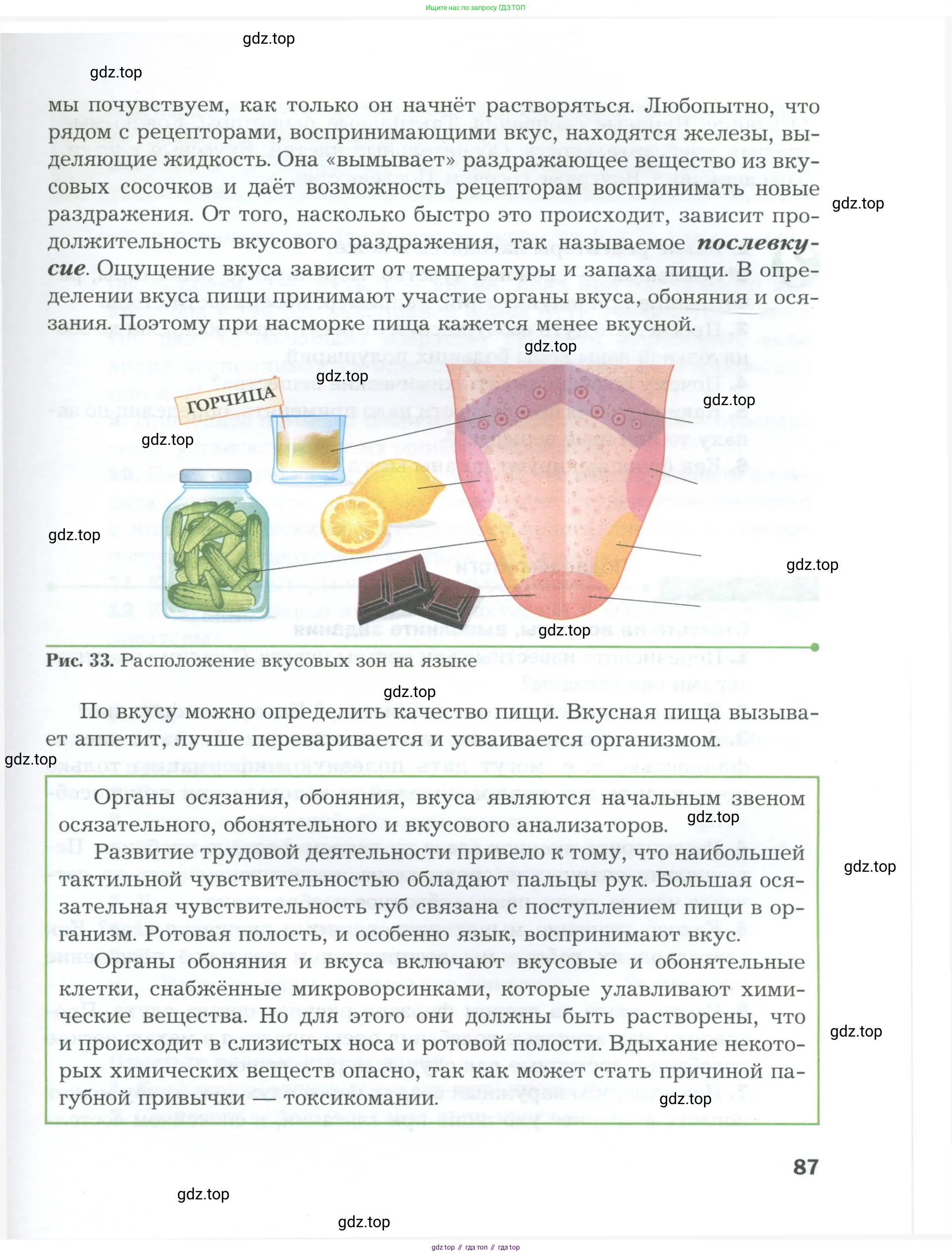 Биология, 9 класс Учебник, авторы: Драгомилов Александр Григорьевич, Маш Реми Давидович, издательство Просвещение, Москва, 2021, коричневого цвета, страница 87