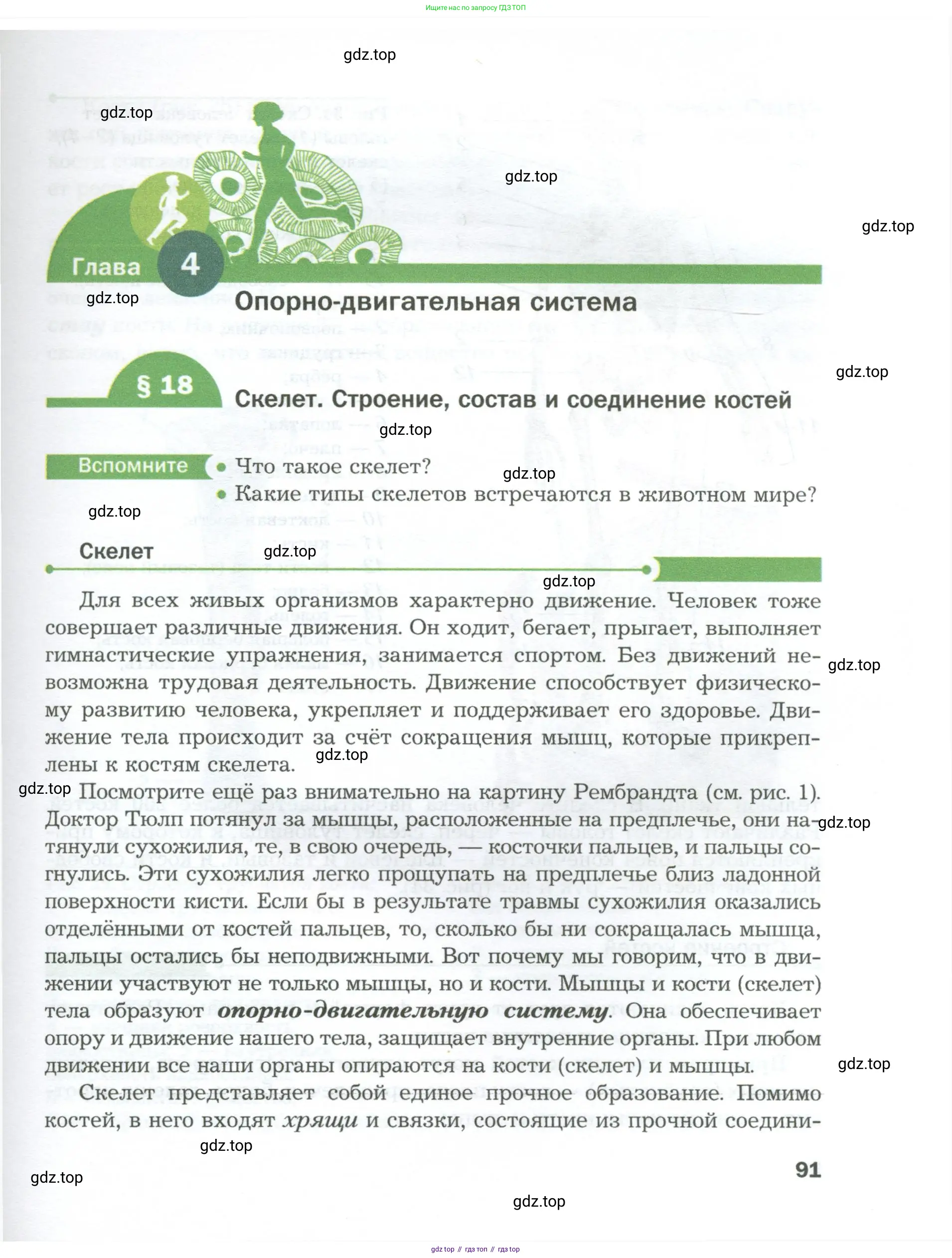Биология, 9 класс Учебник, авторы: Драгомилов Александр Григорьевич, Маш Реми Давидович, издательство Просвещение, Москва, 2021, коричневого цвета, страница 91