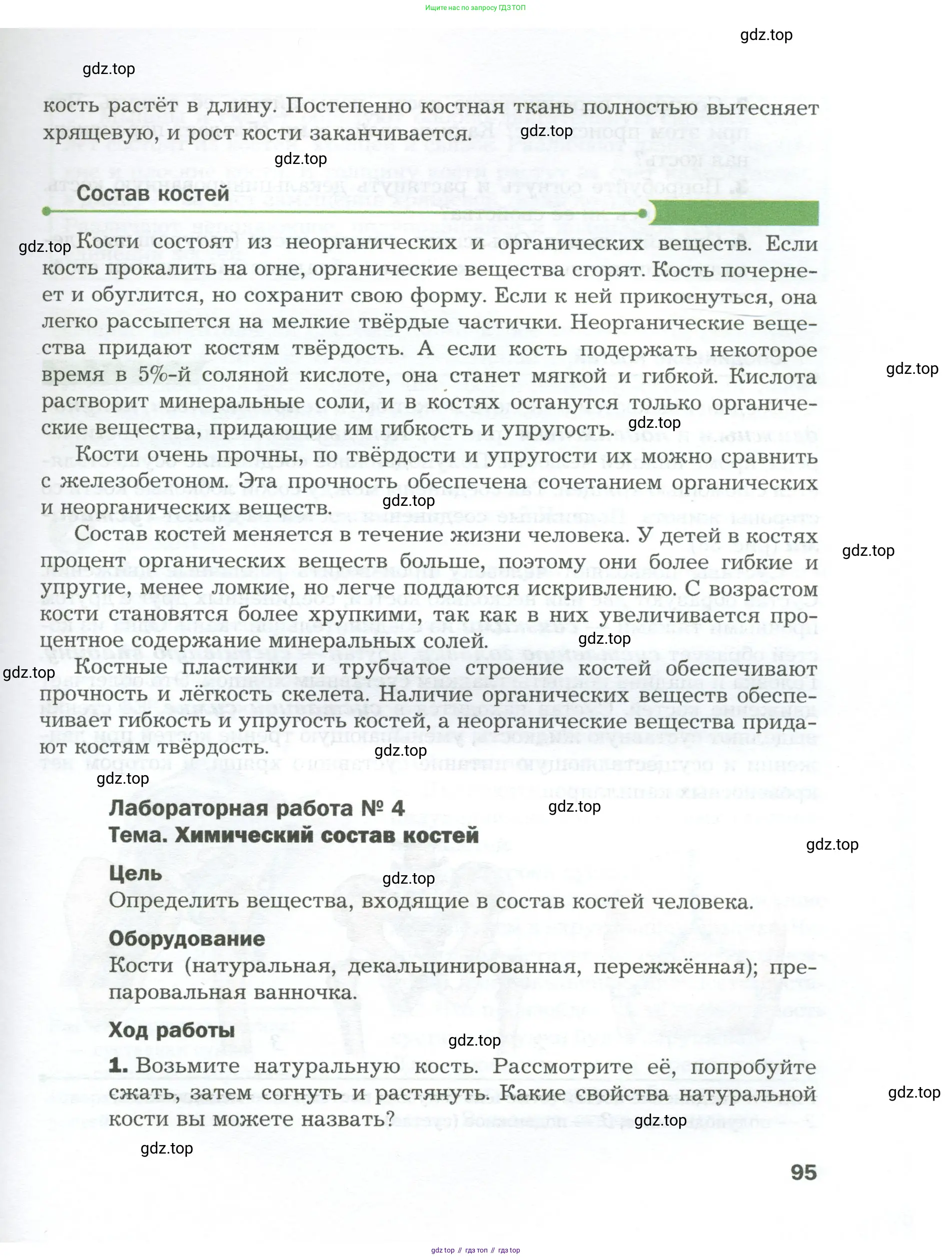 Биология, 9 класс Учебник, авторы: Драгомилов Александр Григорьевич, Маш Реми Давидович, издательство Просвещение, Москва, 2021, коричневого цвета, страница 95