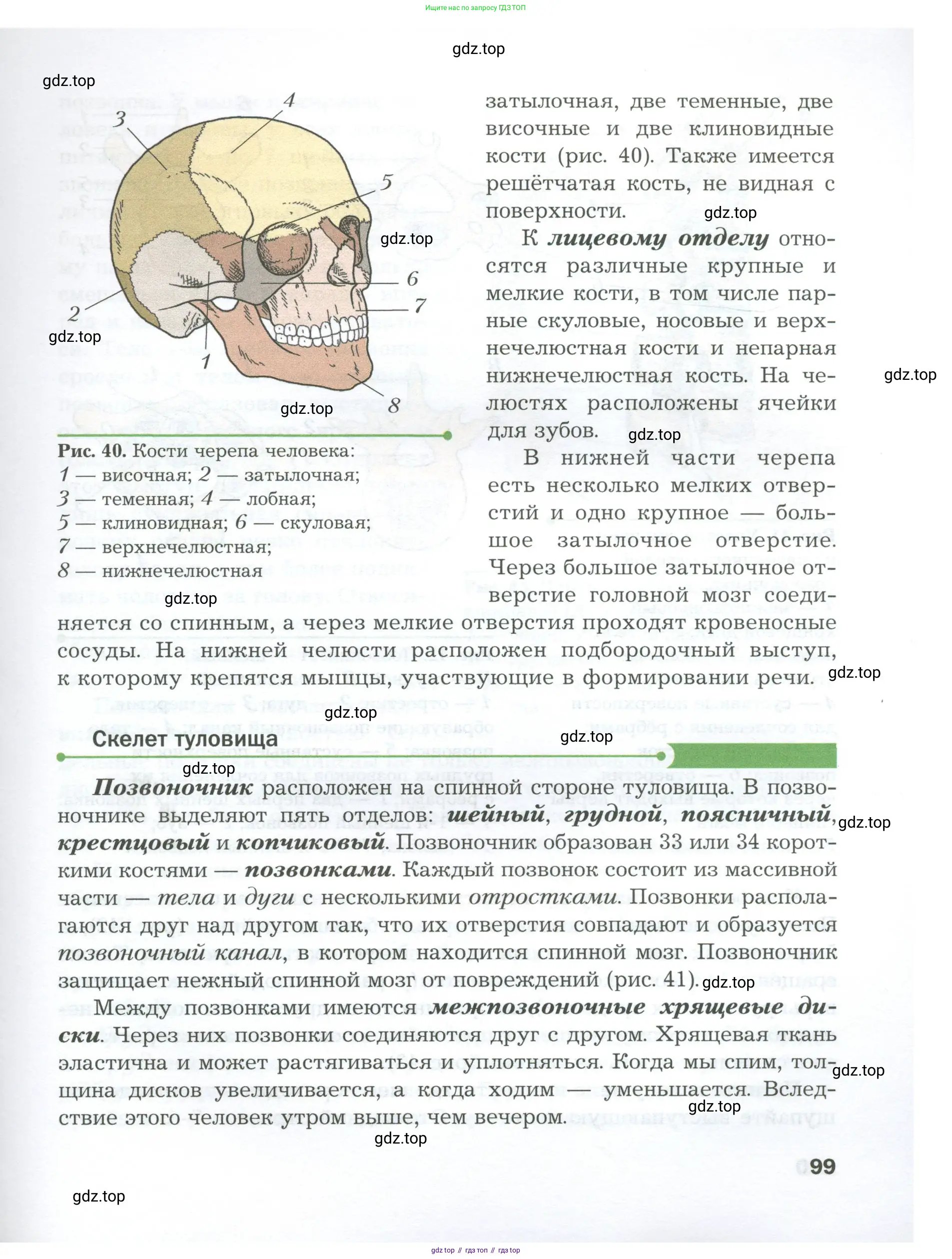 Биология, 9 класс Учебник, авторы: Драгомилов Александр Григорьевич, Маш Реми Давидович, издательство Просвещение, Москва, 2021, коричневого цвета, страница 99