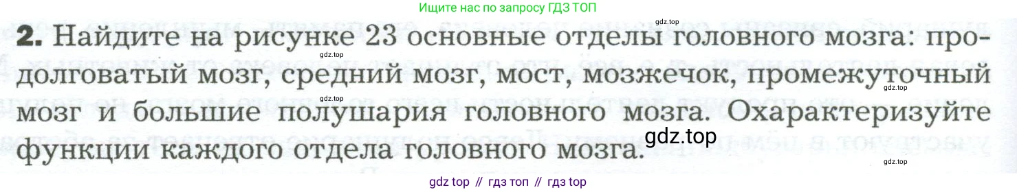 Биология, 9 класс Учебник, авторы: Драгомилов Александр Григорьевич, Маш Реми Давидович, издательство Просвещение, Москва, 2021, коричневого цвета, страница 66, номер 2, Условие
