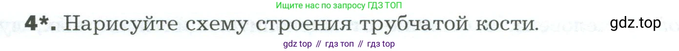 Биология, 9 класс Учебник, авторы: Драгомилов Александр Григорьевич, Маш Реми Давидович, издательство Просвещение, Москва, 2021, коричневого цвета, страница 97, номер 4, Условие