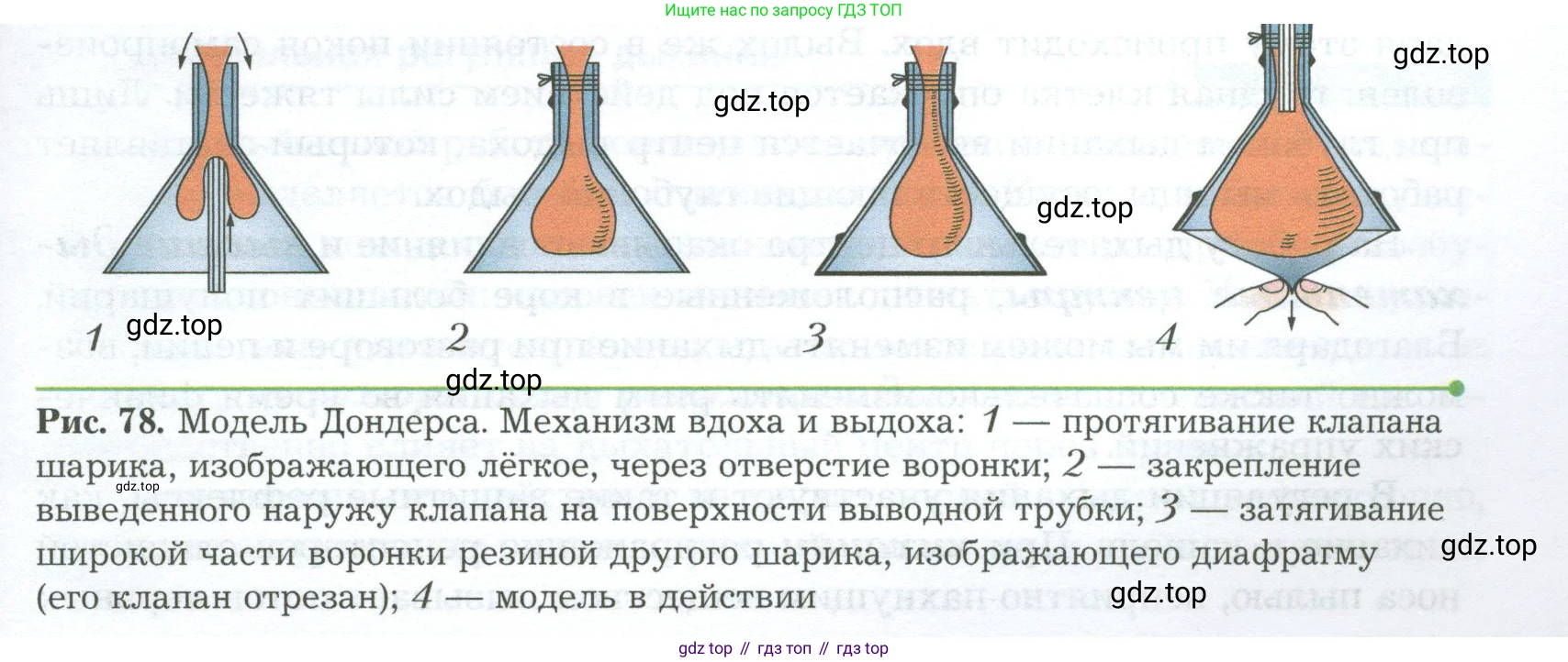 Биология, 9 класс Учебник, авторы: Драгомилов Александр Григорьевич, Маш Реми Давидович, издательство Просвещение, Москва, 2021, коричневого цвета, страница 193, номер 5, Условие (продолжение 2)
