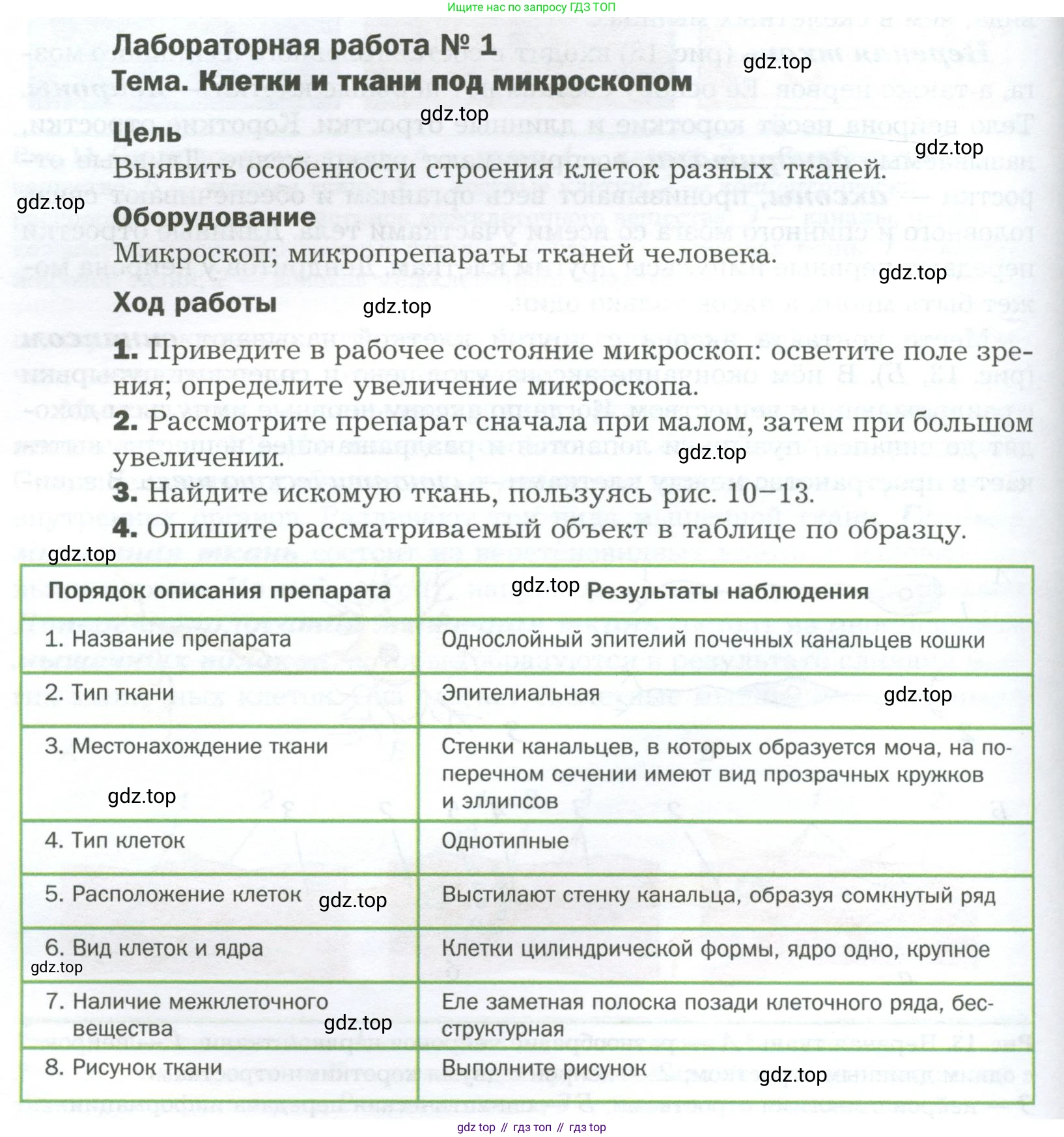 Биология, 9 класс Учебник, авторы: Драгомилов Александр Григорьевич, Маш Реми Давидович, издательство Просвещение, Москва, 2021, коричневого цвета, страница 32, Условие