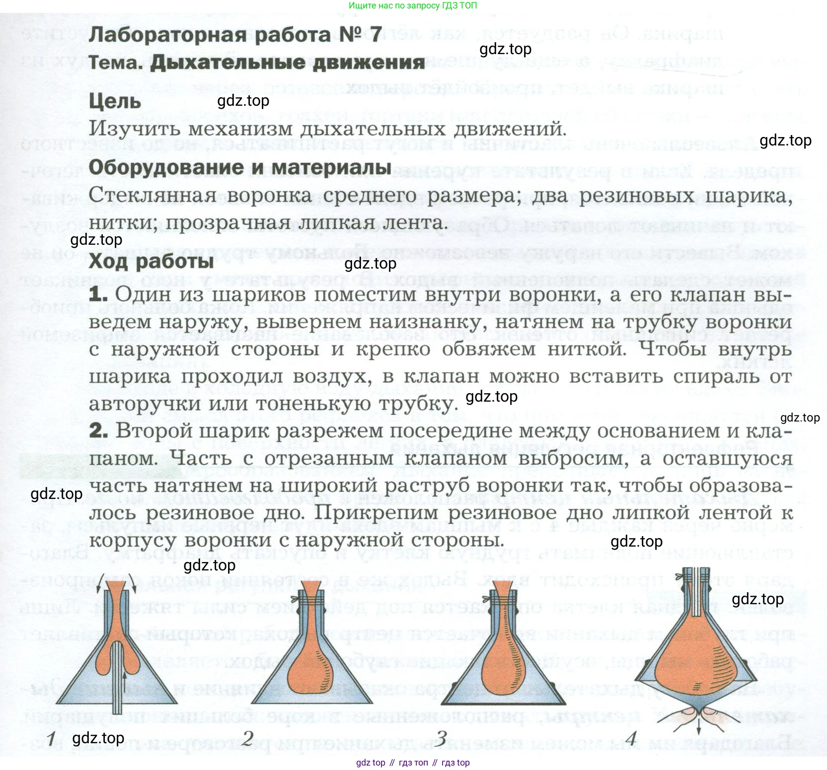 Биология, 9 класс Учебник, авторы: Драгомилов Александр Григорьевич, Маш Реми Давидович, издательство Просвещение, Москва, 2021, коричневого цвета, страница 177, Условие