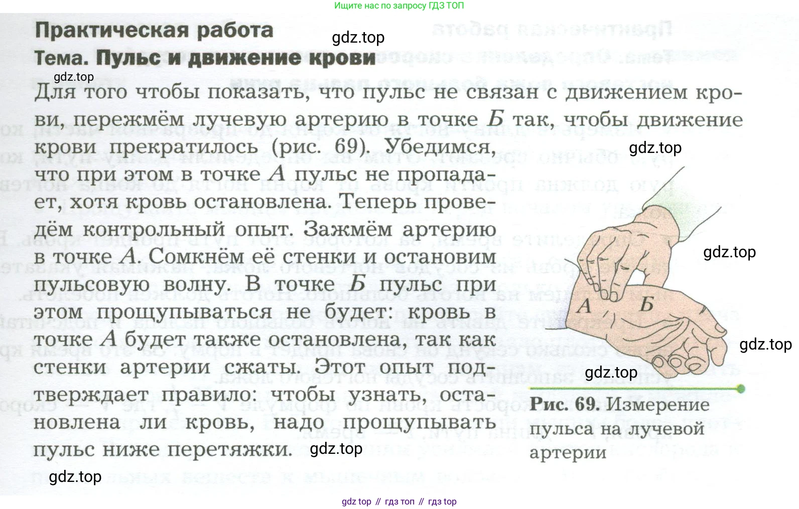 Биология, 9 класс Учебник, авторы: Драгомилов Александр Григорьевич, Маш Реми Давидович, издательство Просвещение, Москва, 2021, коричневого цвета, страница 155, Условие