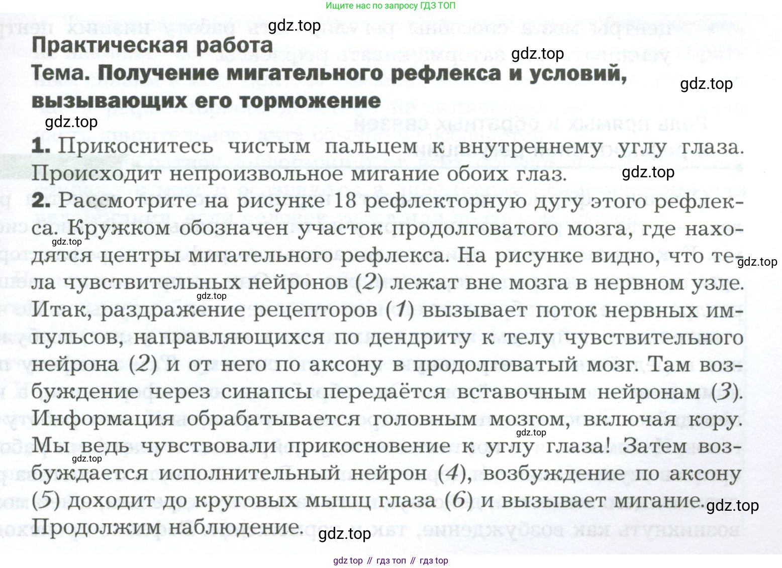 Биология, 9 класс Учебник, авторы: Драгомилов Александр Григорьевич, Маш Реми Давидович, издательство Просвещение, Москва, 2021, коричневого цвета, страница 49, Условие