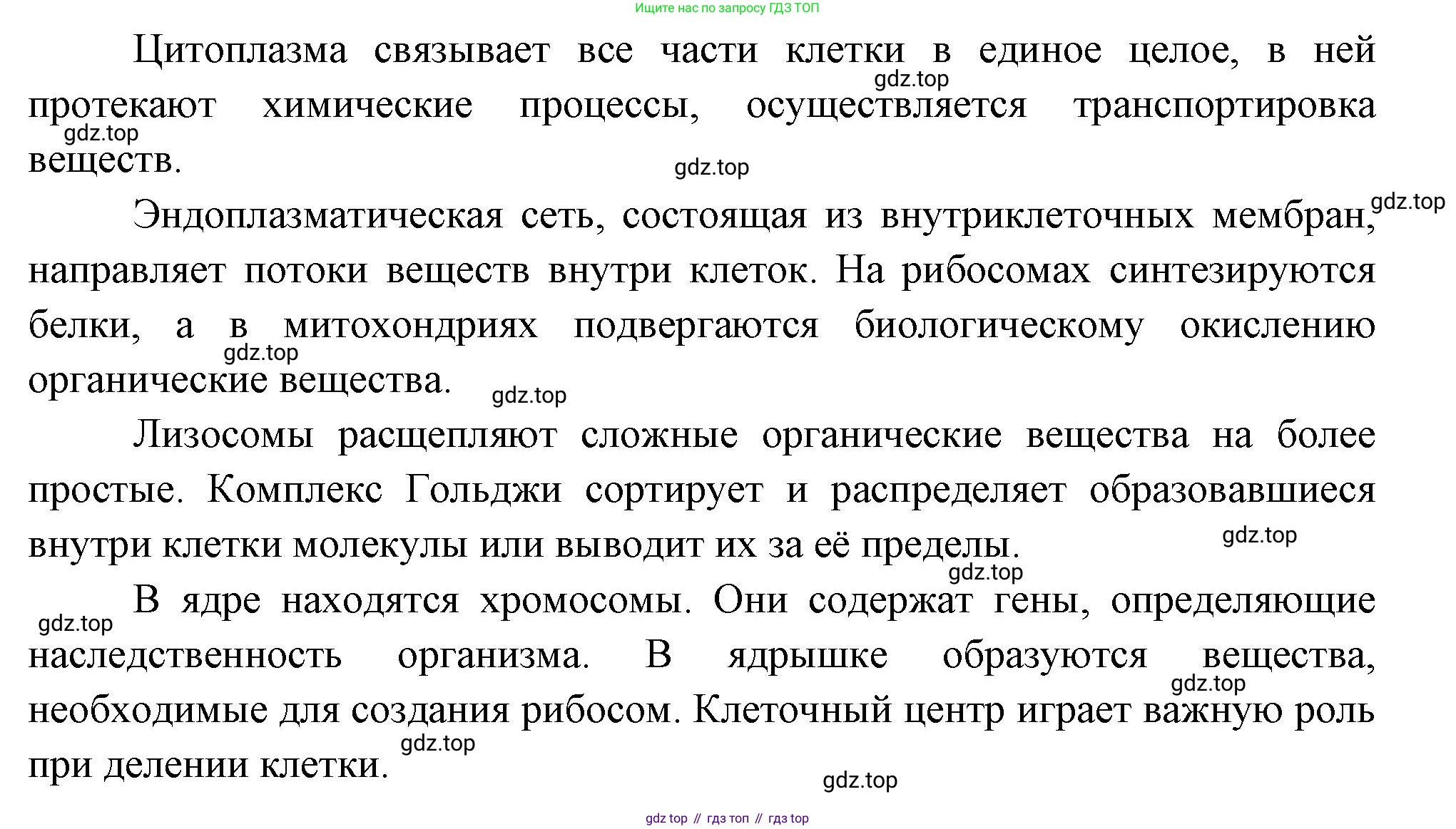 Биология, 9 класс Учебник, авторы: Драгомилов Александр Григорьевич, Маш Реми Давидович, издательство Просвещение, Москва, 2021, коричневого цвета, страница 37, номер 4, Решение (продолжение 2)