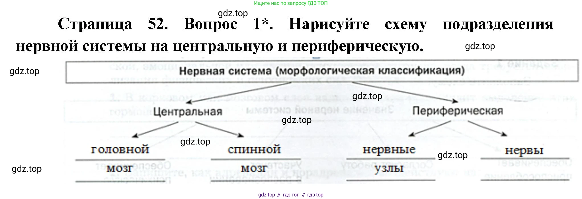 Биология, 9 класс Учебник, авторы: Драгомилов Александр Григорьевич, Маш Реми Давидович, издательство Просвещение, Москва, 2021, коричневого цвета, страница 52, номер 1, Решение