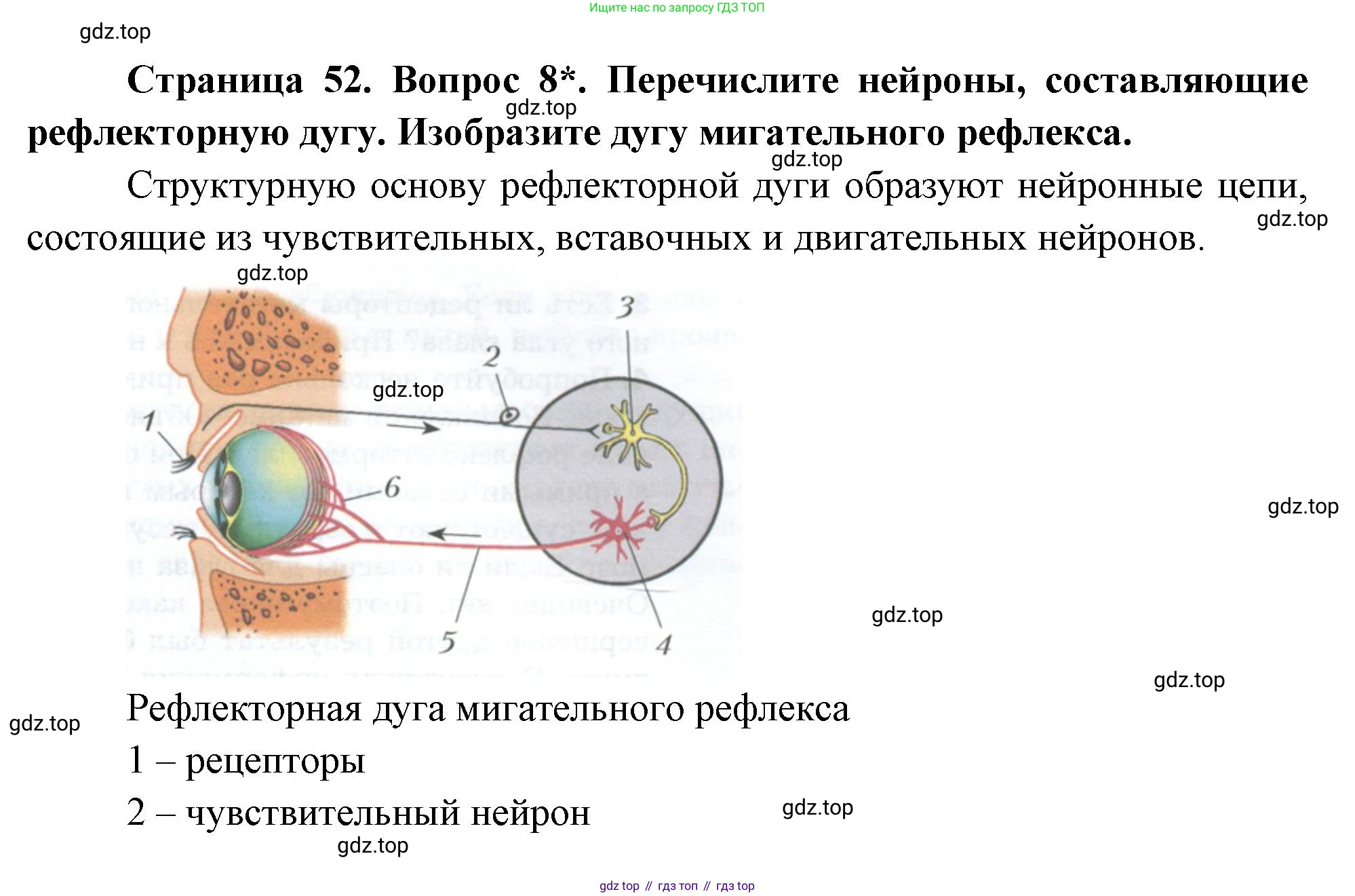 Биология, 9 класс Учебник, авторы: Драгомилов Александр Григорьевич, Маш Реми Давидович, издательство Просвещение, Москва, 2021, коричневого цвета, страница 52, номер 8, Решение