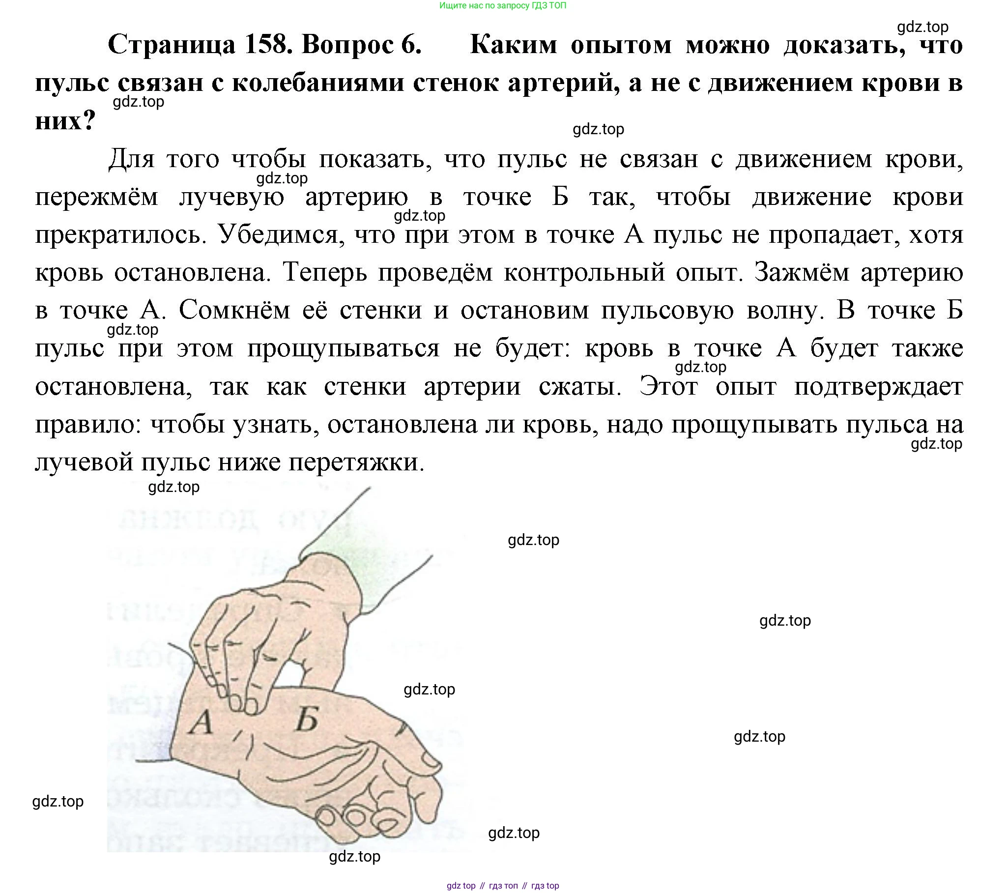 Биология, 9 класс Учебник, авторы: Драгомилов Александр Григорьевич, Маш Реми Давидович, издательство Просвещение, Москва, 2021, коричневого цвета, страница 158, номер 6, Решение