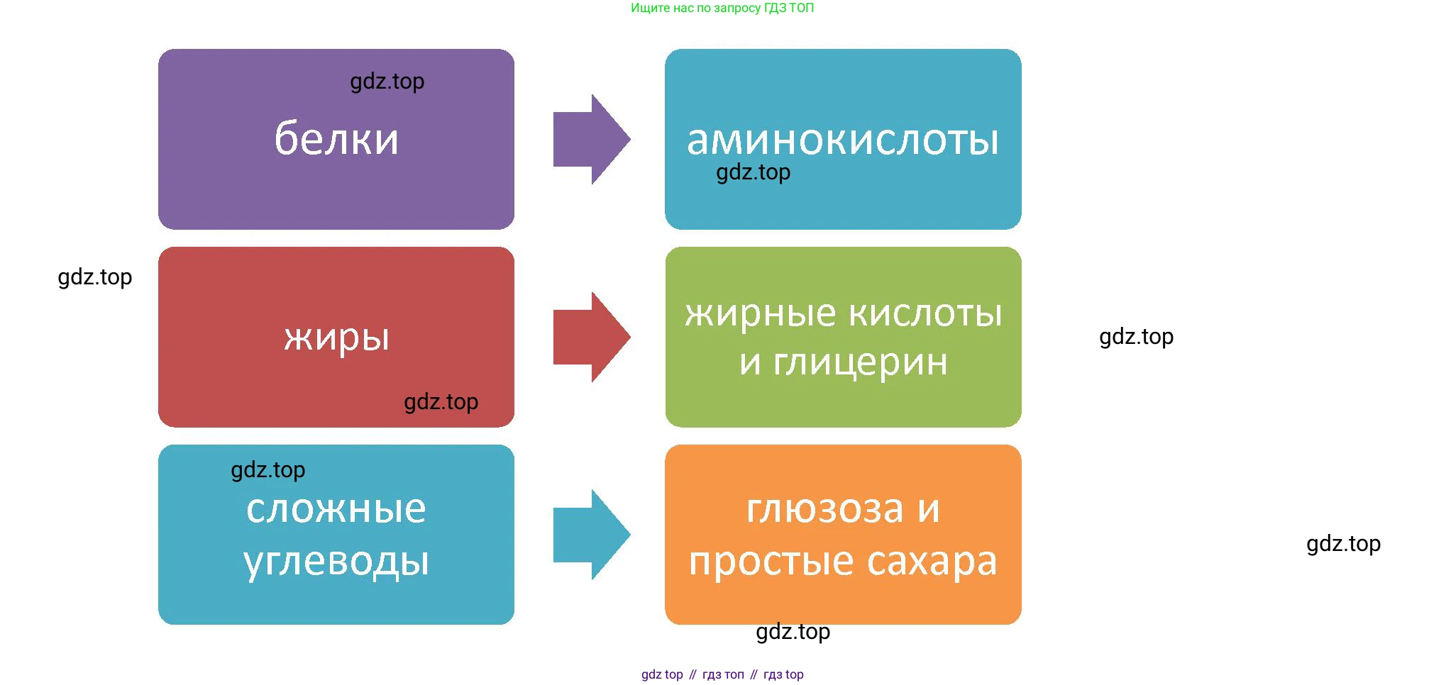 Биология, 9 класс Учебник, авторы: Драгомилов Александр Григорьевич, Маш Реми Давидович, издательство Просвещение, Москва, 2021, коричневого цвета, страница 228, номер 3, Решение (продолжение 2)