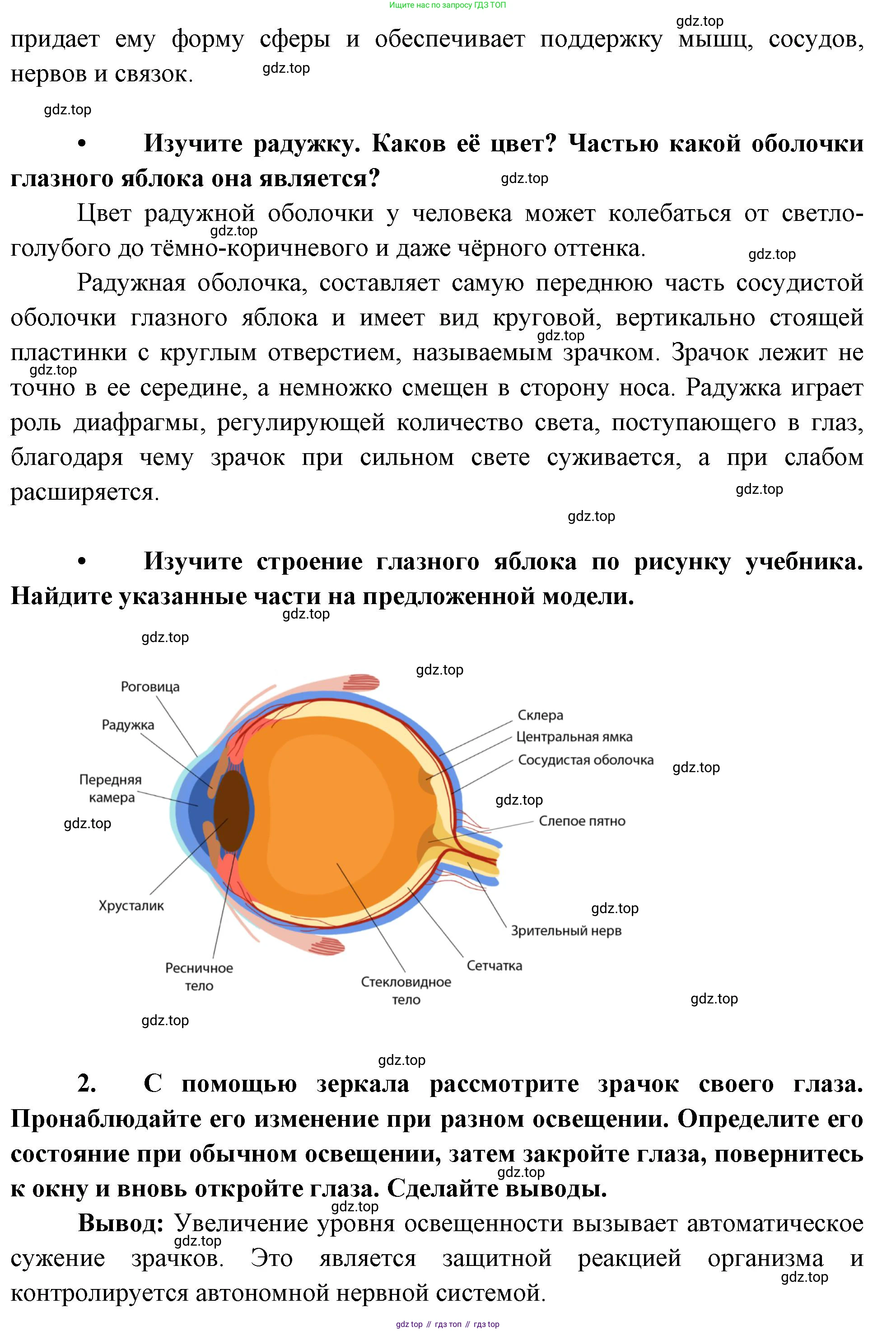 Биология, 9 класс Учебник, авторы: Драгомилов Александр Григорьевич, Маш Реми Давидович, издательство Просвещение, Москва, 2021, коричневого цвета, страница 73, Решение (продолжение 2)