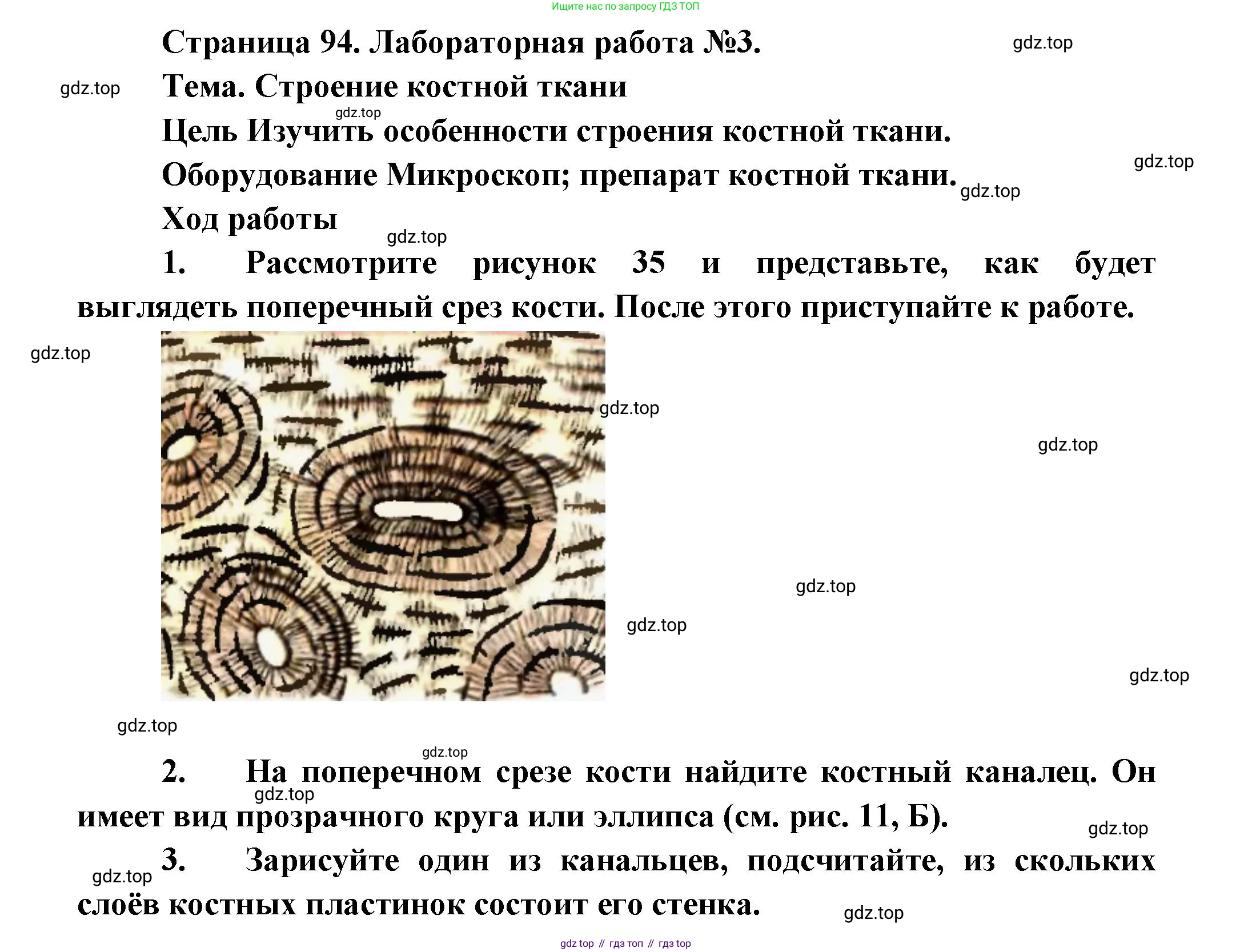 Биология, 9 класс Учебник, авторы: Драгомилов Александр Григорьевич, Маш Реми Давидович, издательство Просвещение, Москва, 2021, коричневого цвета, страница 94, Решение
