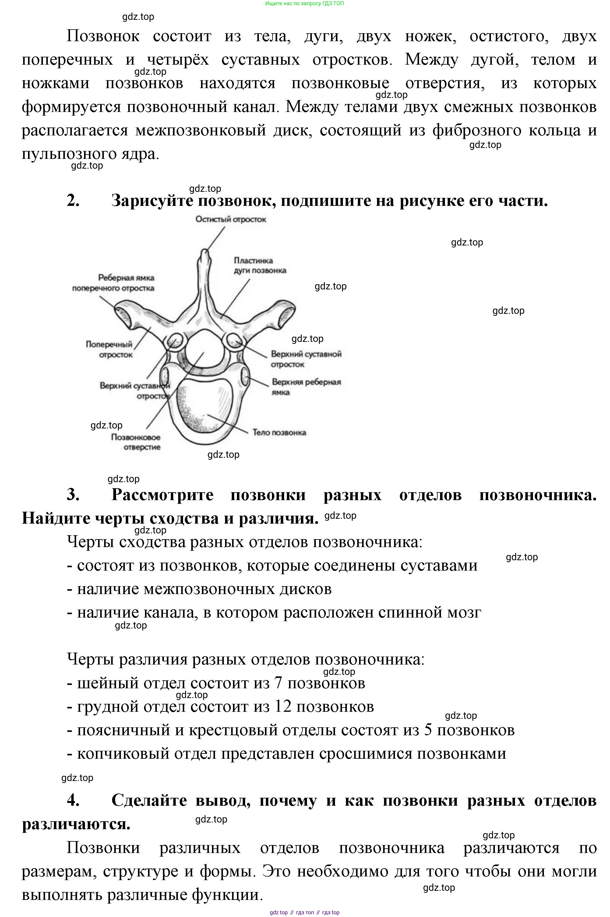 Биология, 9 класс Учебник, авторы: Драгомилов Александр Григорьевич, Маш Реми Давидович, издательство Просвещение, Москва, 2021, коричневого цвета, страница 102, Решение (продолжение 2)