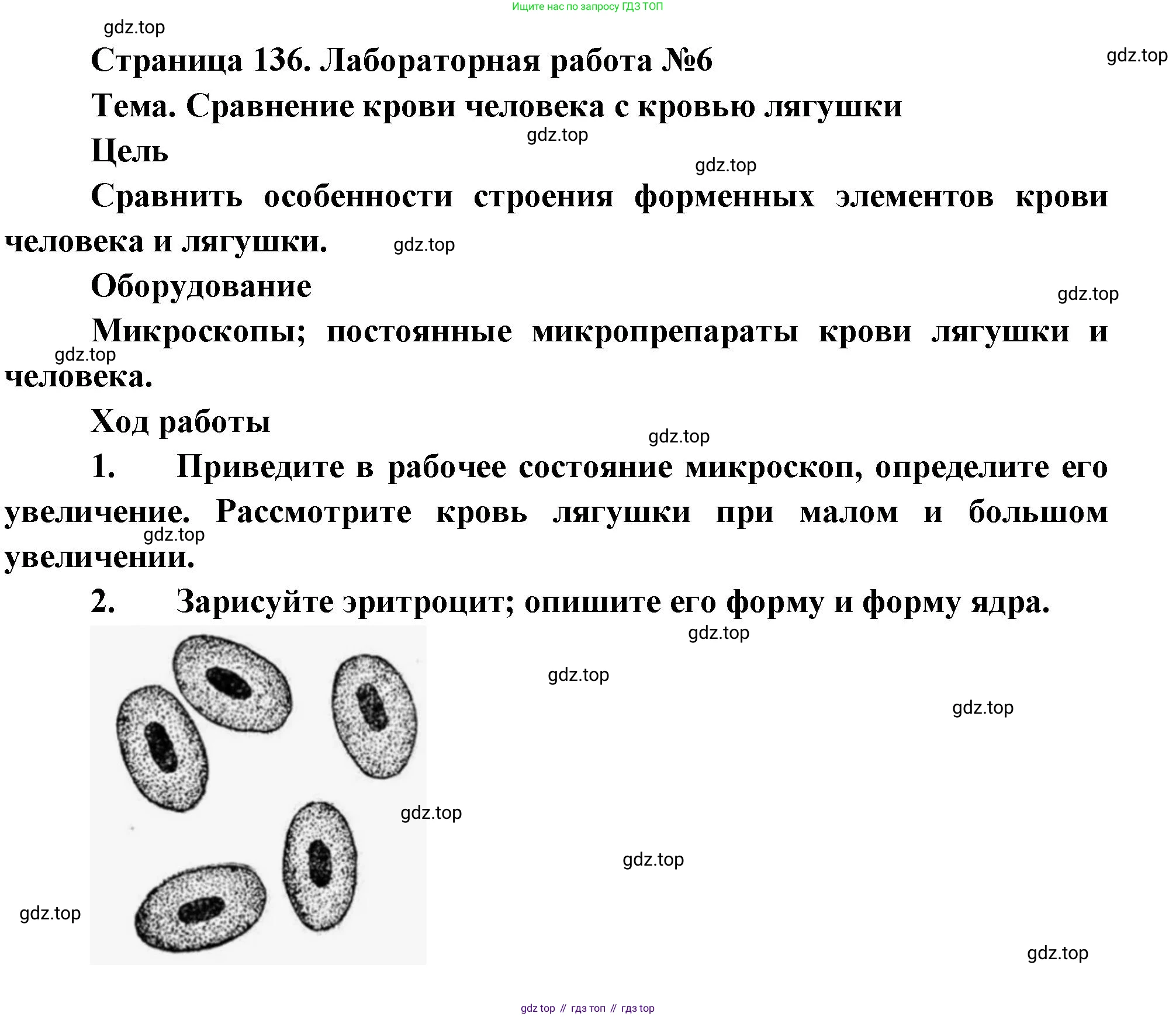 Биология, 9 класс Учебник, авторы: Драгомилов Александр Григорьевич, Маш Реми Давидович, издательство Просвещение, Москва, 2021, коричневого цвета, страница 136, Решение