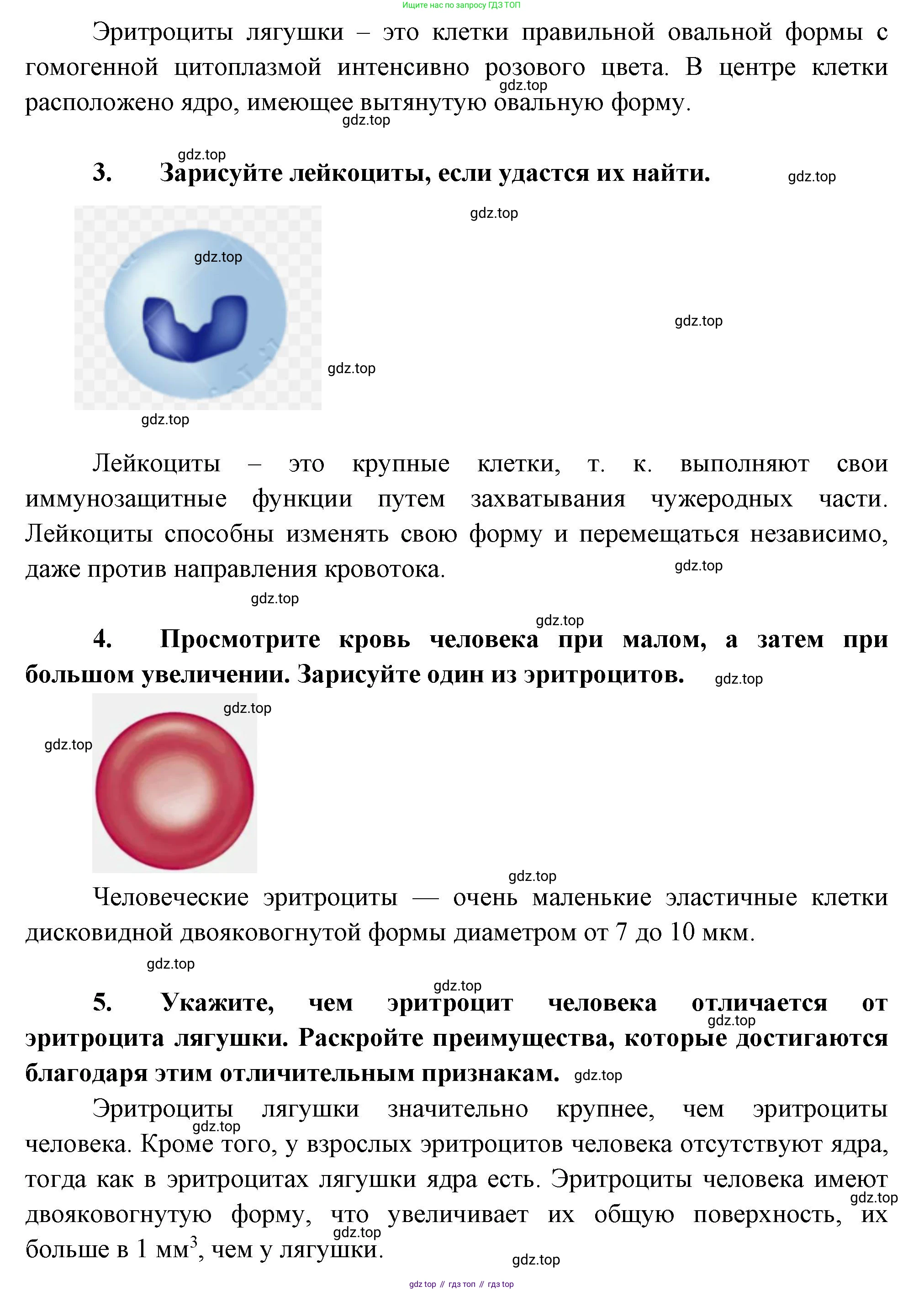 Биология, 9 класс Учебник, авторы: Драгомилов Александр Григорьевич, Маш Реми Давидович, издательство Просвещение, Москва, 2021, коричневого цвета, страница 136, Решение (продолжение 2)