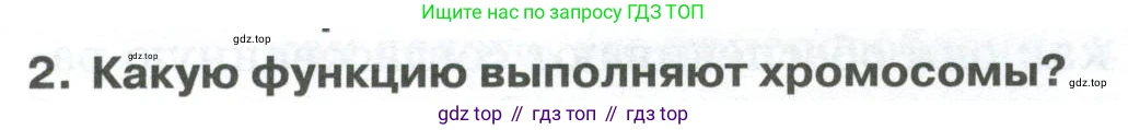 ГДЗ Биология, 9 класс Учебник, авторы: Колесов Дмитрий Васильевич, Маш Реми Давидович, Беляев Иван Николаевич, издательство Просвещение, Москва, 2021, белого цвета, страница 40, номер 2, Условие