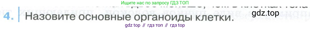 ГДЗ Биология, 9 класс Учебник, авторы: Колесов Дмитрий Васильевич, Маш Реми Давидович, Беляев Иван Николаевич, издательство Просвещение, Москва, 2021, белого цвета, страница 47, номер 4, Условие