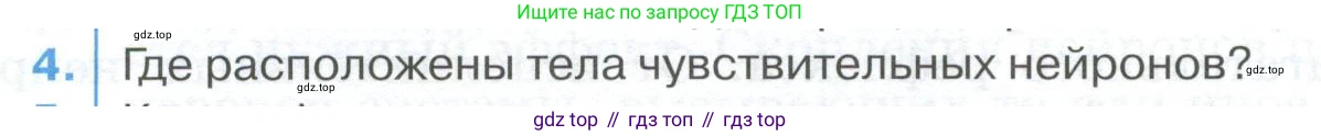 ГДЗ Биология, 9 класс Учебник, авторы: Колесов Дмитрий Васильевич, Маш Реми Давидович, Беляев Иван Николаевич, издательство Просвещение, Москва, 2021, белого цвета, страница 60, номер 4, Условие