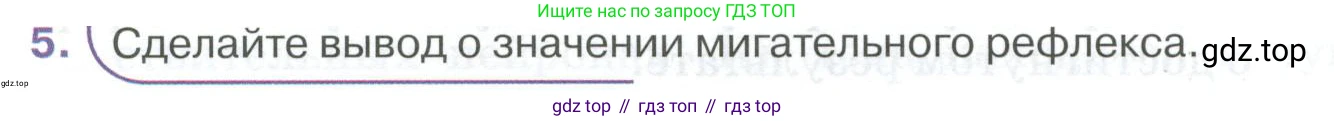 ГДЗ Биология, 9 класс Учебник, авторы: Колесов Дмитрий Васильевич, Маш Реми Давидович, Беляев Иван Николаевич, издательство Просвещение, Москва, 2021, белого цвета, страница 60, номер 5, Условие