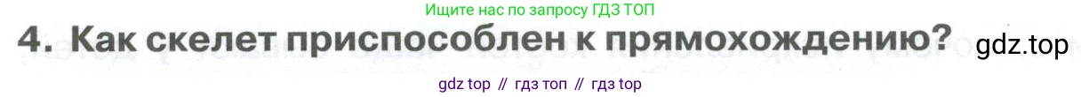 ГДЗ Биология, 9 класс Учебник, авторы: Колесов Дмитрий Васильевич, Маш Реми Давидович, Беляев Иван Николаевич, издательство Просвещение, Москва, 2021, белого цвета, страница 70, номер 4, Условие