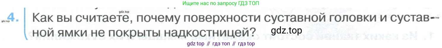 ГДЗ Биология, 9 класс Учебник, авторы: Колесов Дмитрий Васильевич, Маш Реми Давидович, Беляев Иван Николаевич, издательство Просвещение, Москва, 2021, белого цвета, страница 83, номер 4, Условие