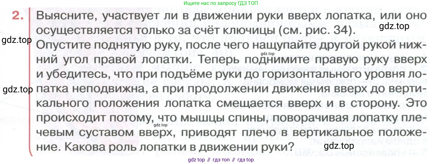 ГДЗ Биология, 9 класс Учебник, авторы: Колесов Дмитрий Васильевич, Маш Реми Давидович, Беляев Иван Николаевич, издательство Просвещение, Москва, 2021, белого цвета, страница 83, номер 2, Условие