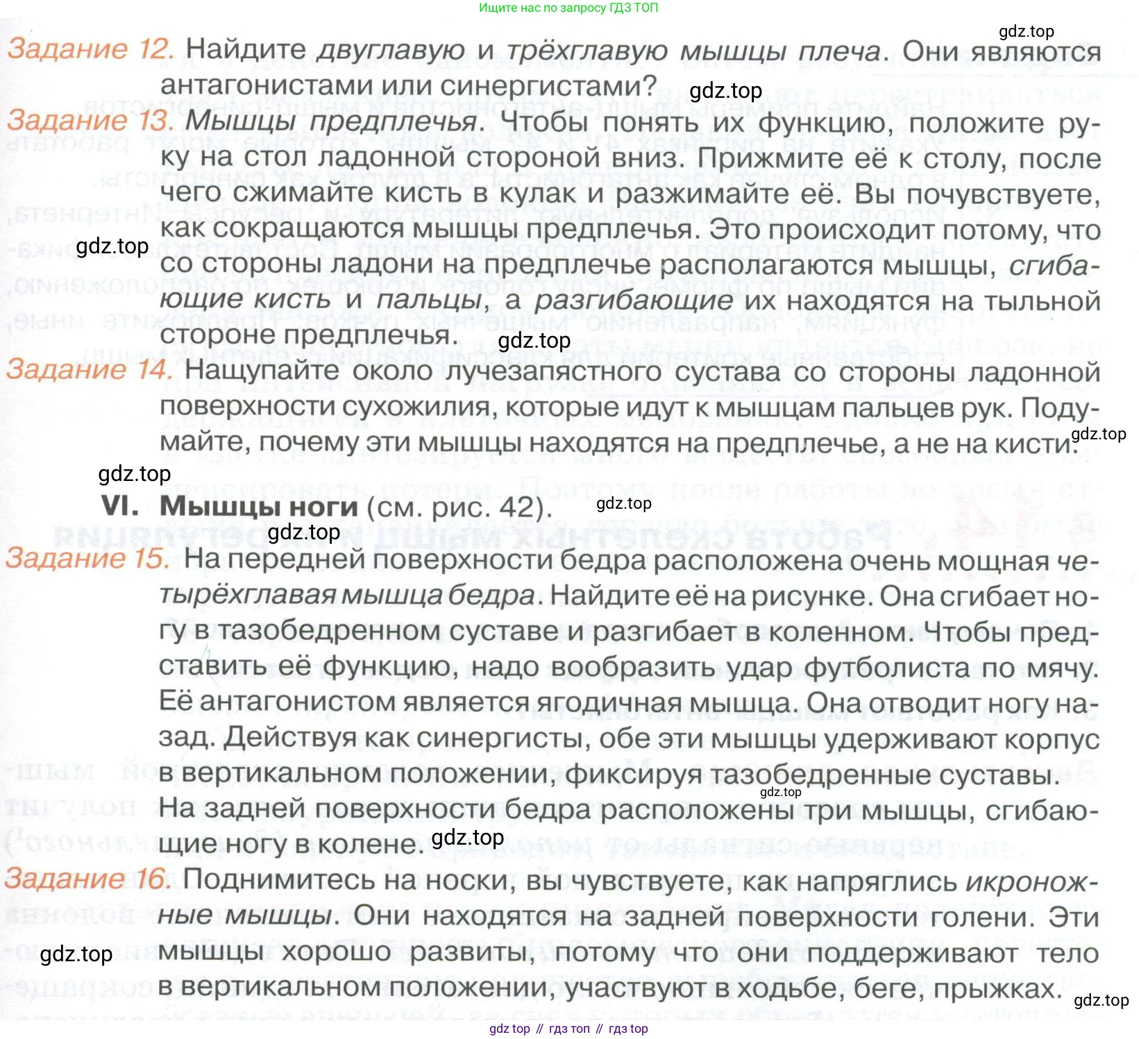 ГДЗ Биология, 9 класс Учебник, авторы: Колесов Дмитрий Васильевич, Маш Реми Давидович, Беляев Иван Николаевич, издательство Просвещение, Москва, 2021, белого цвета, страница 86, Условие (продолжение 4)