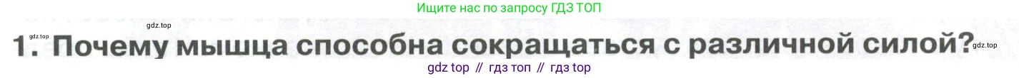 ГДЗ Биология, 9 класс Учебник, авторы: Колесов Дмитрий Васильевич, Маш Реми Давидович, Беляев Иван Николаевич, издательство Просвещение, Москва, 2021, белого цвета, страница 90, номер 1, Условие