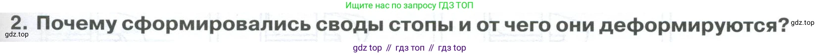 ГДЗ Биология, 9 класс Учебник, авторы: Колесов Дмитрий Васильевич, Маш Реми Давидович, Беляев Иван Николаевич, издательство Просвещение, Москва, 2021, белого цвета, страница 95, номер 2, Условие