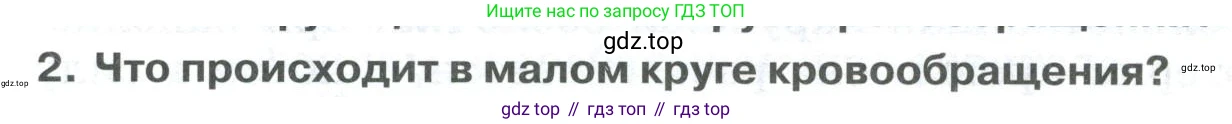 ГДЗ Биология, 9 класс Учебник, авторы: Колесов Дмитрий Васильевич, Маш Реми Давидович, Беляев Иван Николаевич, издательство Просвещение, Москва, 2021, белого цвета, страница 134, номер 2, Условие