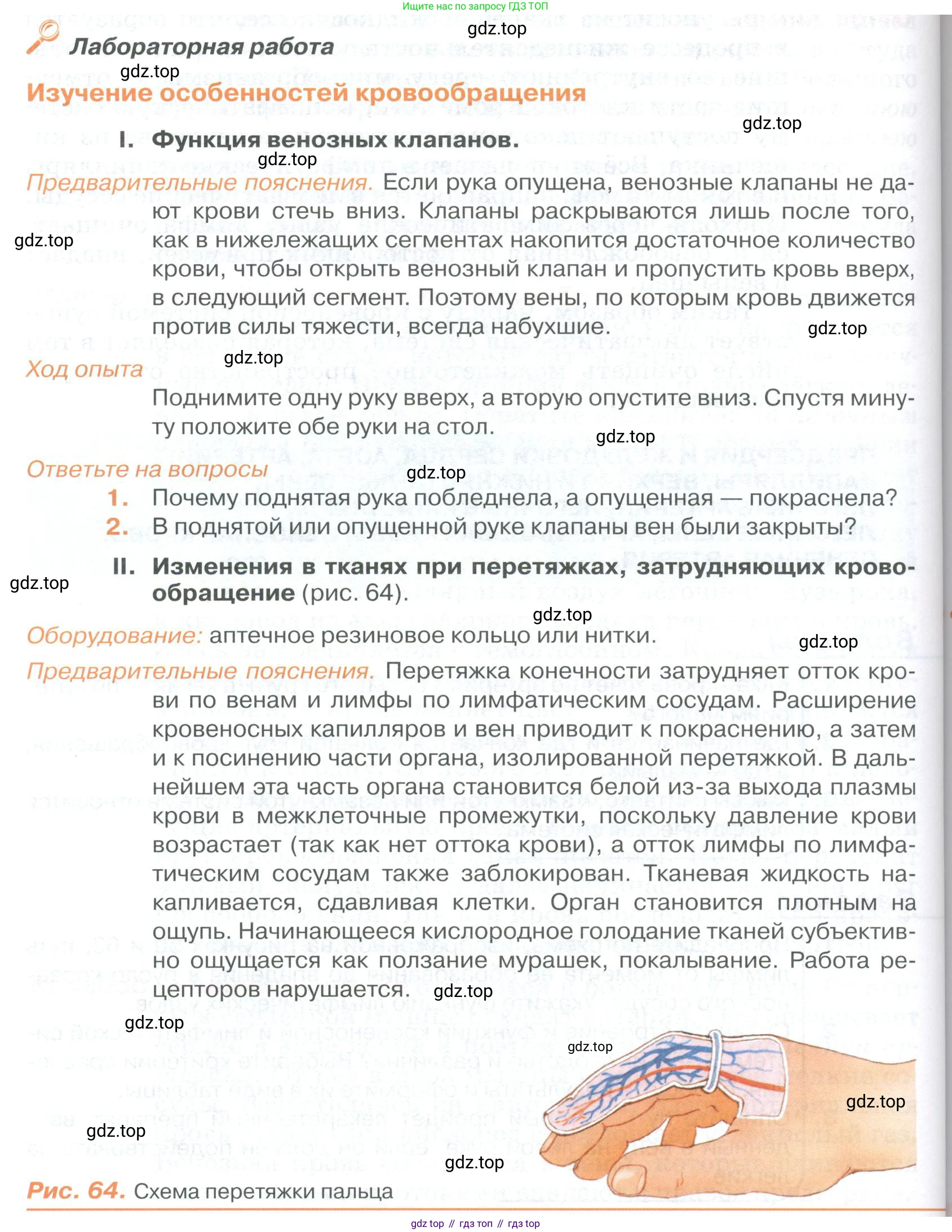 ГДЗ Биология, 9 класс Учебник, авторы: Колесов Дмитрий Васильевич, Маш Реми Давидович, Беляев Иван Николаевич, издательство Просвещение, Москва, 2021, белого цвета, страница 138, Условие
