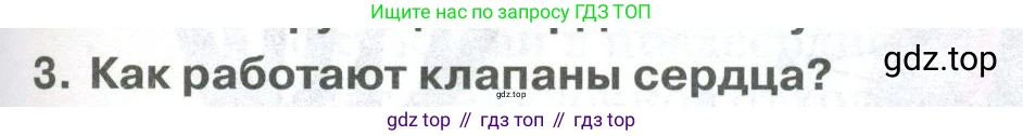 ГДЗ Биология, 9 класс Учебник, авторы: Колесов Дмитрий Васильевич, Маш Реми Давидович, Беляев Иван Николаевич, издательство Просвещение, Москва, 2021, белого цвета, страница 139, номер 3, Условие