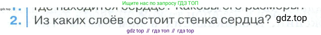 ГДЗ Биология, 9 класс Учебник, авторы: Колесов Дмитрий Васильевич, Маш Реми Давидович, Беляев Иван Николаевич, издательство Просвещение, Москва, 2021, белого цвета, страница 144, номер 2, Условие