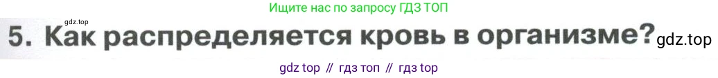 ГДЗ Биология, 9 класс Учебник, авторы: Колесов Дмитрий Васильевич, Маш Реми Давидович, Беляев Иван Николаевич, издательство Просвещение, Москва, 2021, белого цвета, страница 145, номер 5, Условие