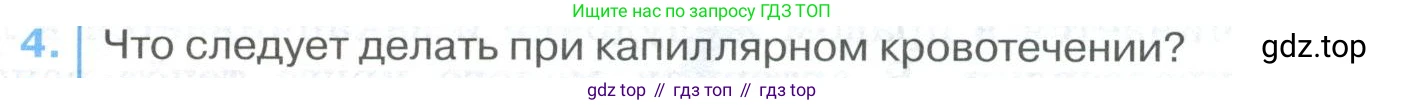 ГДЗ Биология, 9 класс Учебник, авторы: Колесов Дмитрий Васильевич, Маш Реми Давидович, Беляев Иван Николаевич, издательство Просвещение, Москва, 2021, белого цвета, страница 163, номер 4, Условие