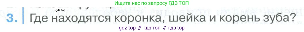 ГДЗ Биология, 9 класс Учебник, авторы: Колесов Дмитрий Васильевич, Маш Реми Давидович, Беляев Иван Николаевич, издательство Просвещение, Москва, 2021, белого цвета, страница 204, номер 3, Условие