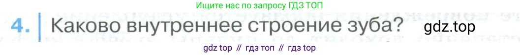 ГДЗ Биология, 9 класс Учебник, авторы: Колесов Дмитрий Васильевич, Маш Реми Давидович, Беляев Иван Николаевич, издательство Просвещение, Москва, 2021, белого цвета, страница 204, номер 4, Условие