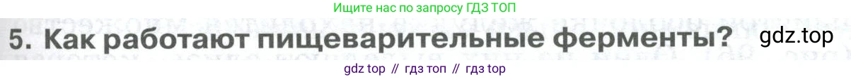 ГДЗ Биология, 9 класс Учебник, авторы: Колесов Дмитрий Васильевич, Маш Реми Давидович, Беляев Иван Николаевич, издательство Просвещение, Москва, 2021, белого цвета, страница 205, номер 5, Условие