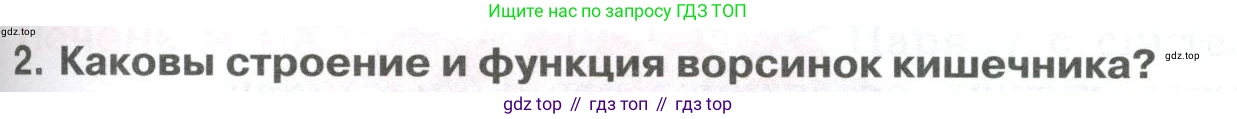 ГДЗ Биология, 9 класс Учебник, авторы: Колесов Дмитрий Васильевич, Маш Реми Давидович, Беляев Иван Николаевич, издательство Просвещение, Москва, 2021, белого цвета, страница 211, номер 2, Условие