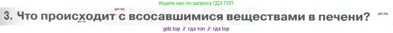 ГДЗ Биология, 9 класс Учебник, авторы: Колесов Дмитрий Васильевич, Маш Реми Давидович, Беляев Иван Николаевич, издательство Просвещение, Москва, 2021, белого цвета, страница 211, номер 3, Условие