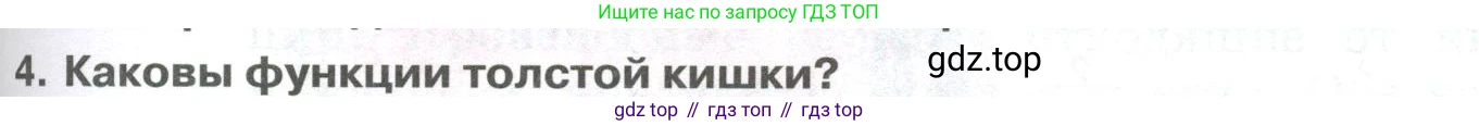 ГДЗ Биология, 9 класс Учебник, авторы: Колесов Дмитрий Васильевич, Маш Реми Давидович, Беляев Иван Николаевич, издательство Просвещение, Москва, 2021, белого цвета, страница 211, номер 4, Условие