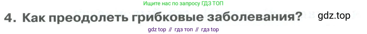 ГДЗ Биология, 9 класс Учебник, авторы: Колесов Дмитрий Васильевич, Маш Реми Давидович, Беляев Иван Николаевич, издательство Просвещение, Москва, 2021, белого цвета, страница 256, номер 4, Условие