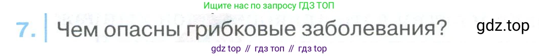 ГДЗ Биология, 9 класс Учебник, авторы: Колесов Дмитрий Васильевич, Маш Реми Давидович, Беляев Иван Николаевич, издательство Просвещение, Москва, 2021, белого цвета, страница 262, номер 7, Условие