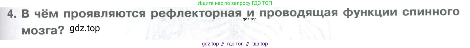 ГДЗ Биология, 9 класс Учебник, авторы: Колесов Дмитрий Васильевич, Маш Реми Давидович, Беляев Иван Николаевич, издательство Просвещение, Москва, 2021, белого цвета, страница 279, номер 4, Условие