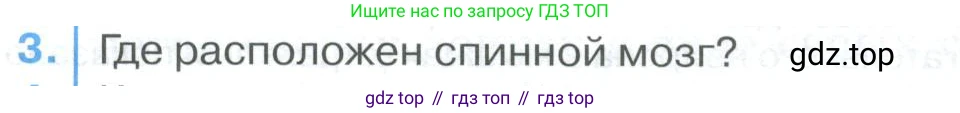 ГДЗ Биология, 9 класс Учебник, авторы: Колесов Дмитрий Васильевич, Маш Реми Давидович, Беляев Иван Николаевич, издательство Просвещение, Москва, 2021, белого цвета, страница 284, номер 3, Условие